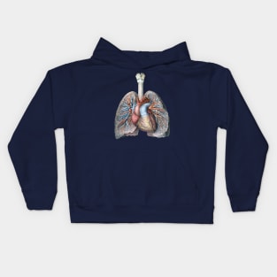 Vintage Science and Human Anatomy with Lungs, Heart, Organs and Blood Vessels Kids Hoodie